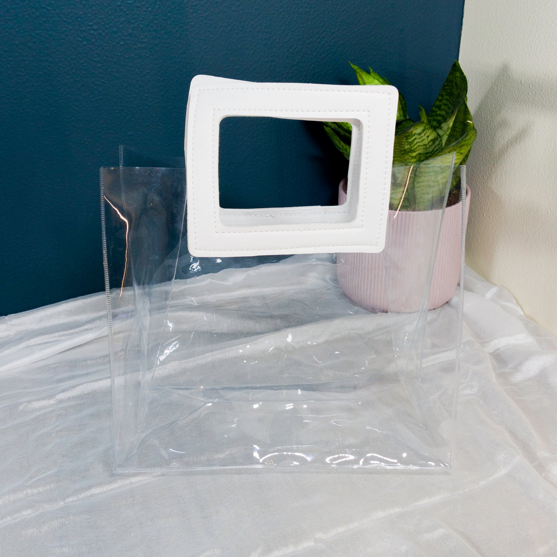 Transparent Bag